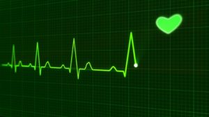 heartbeet sound wave